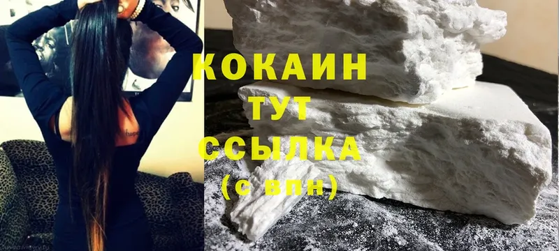 COCAIN Fish Scale  как найти закладки  Венёв 